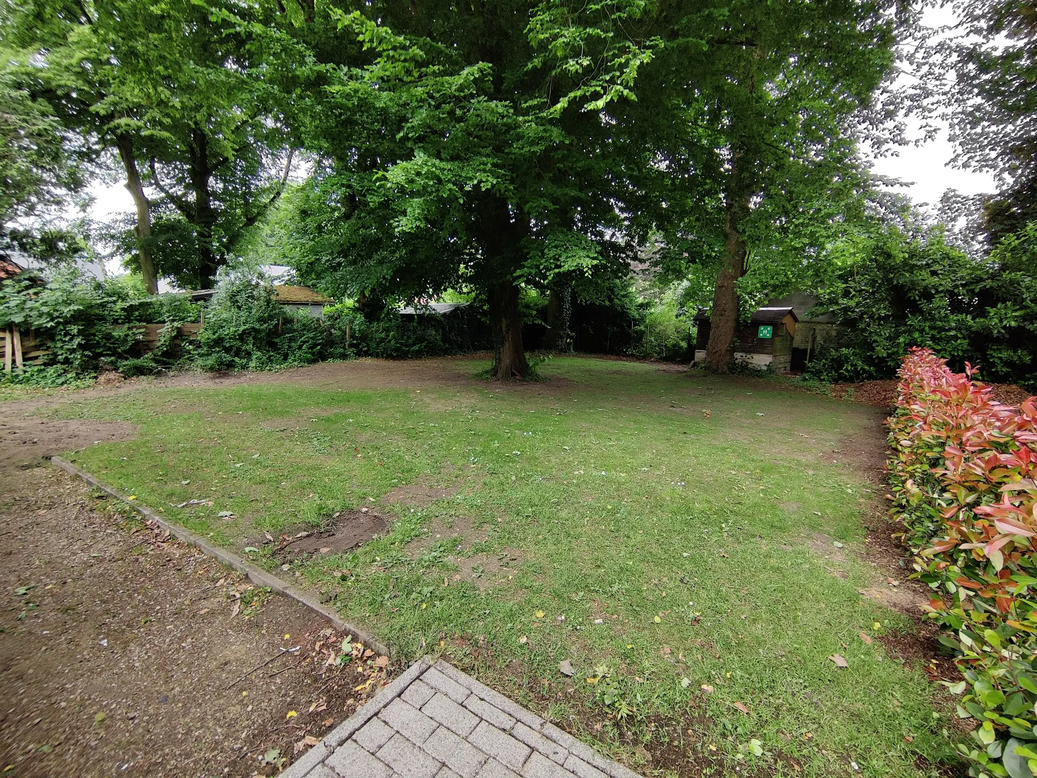 Jardin arboré