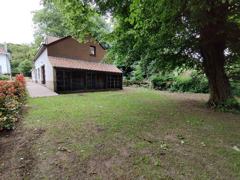 Séjour et fauteuil